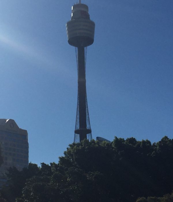 Darling Harbor Park and the Sydney Tower