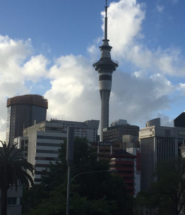 4 Days in Auckland