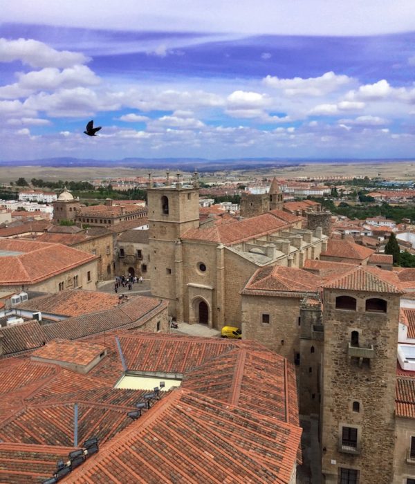 Cáceres the Castle (Town)